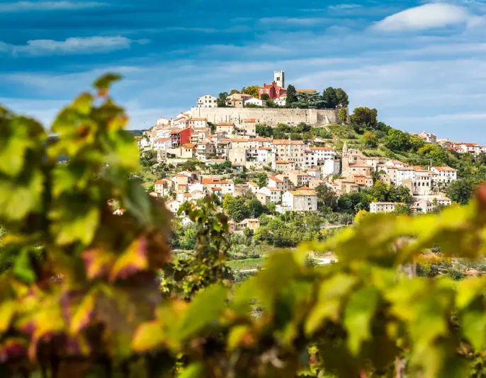 Kroatien, Istrien, Blick durch die Weinberge nach Motovun